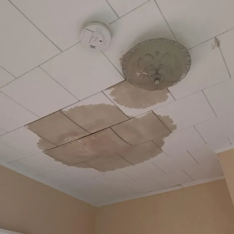 Ceiling Water Damage Repair in Underwood-Petersville, AL