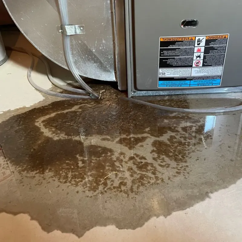 Pipe Burst and Leak Restoration in Underwood-Petersville, AL