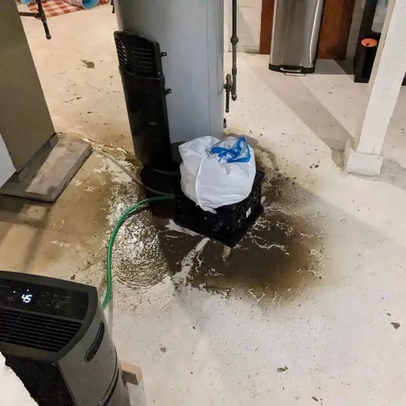 Sewage Backup Cleanup Service in Underwood-Petersville, AL